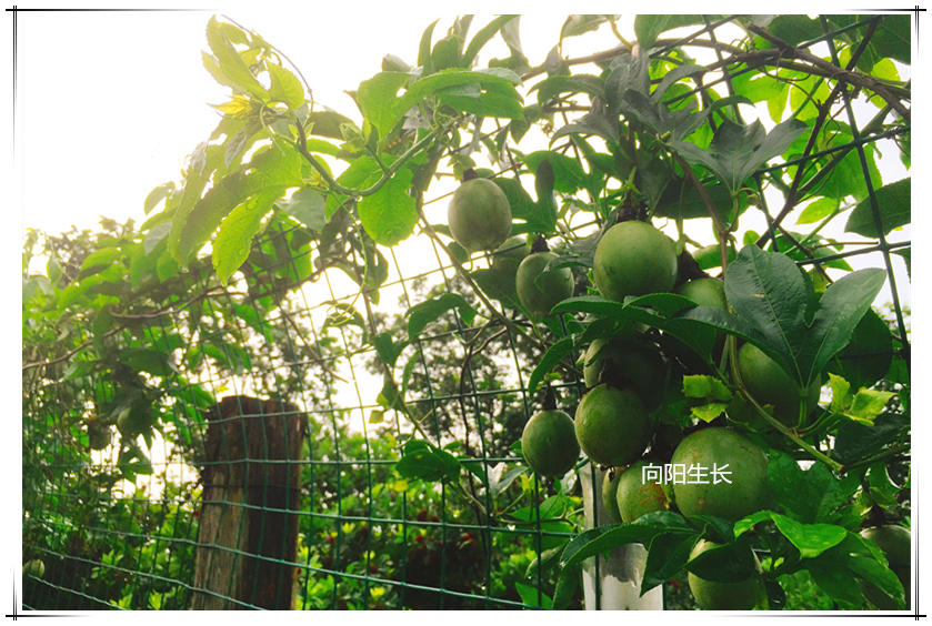 20190531101000 BG大游集团(中国)唯一官方网站