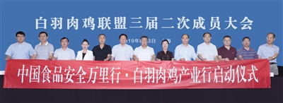 BG大游集团(中国)唯一官方网站