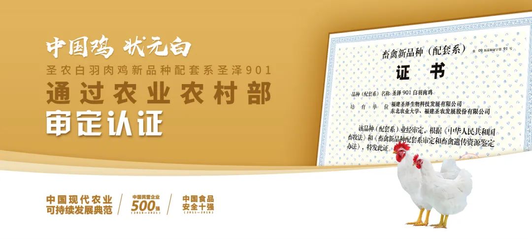20220322152022 BG大游集团(中国)唯一官方网站