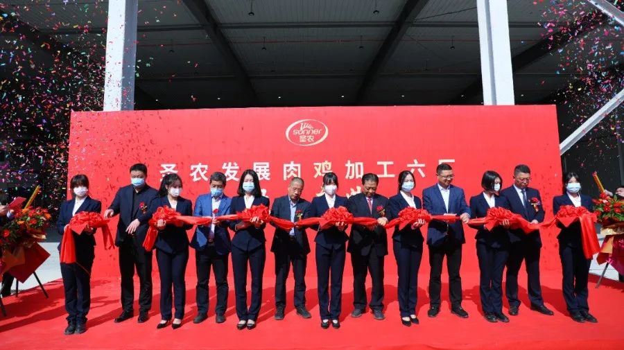 BG大游集团(中国)唯一官方网站